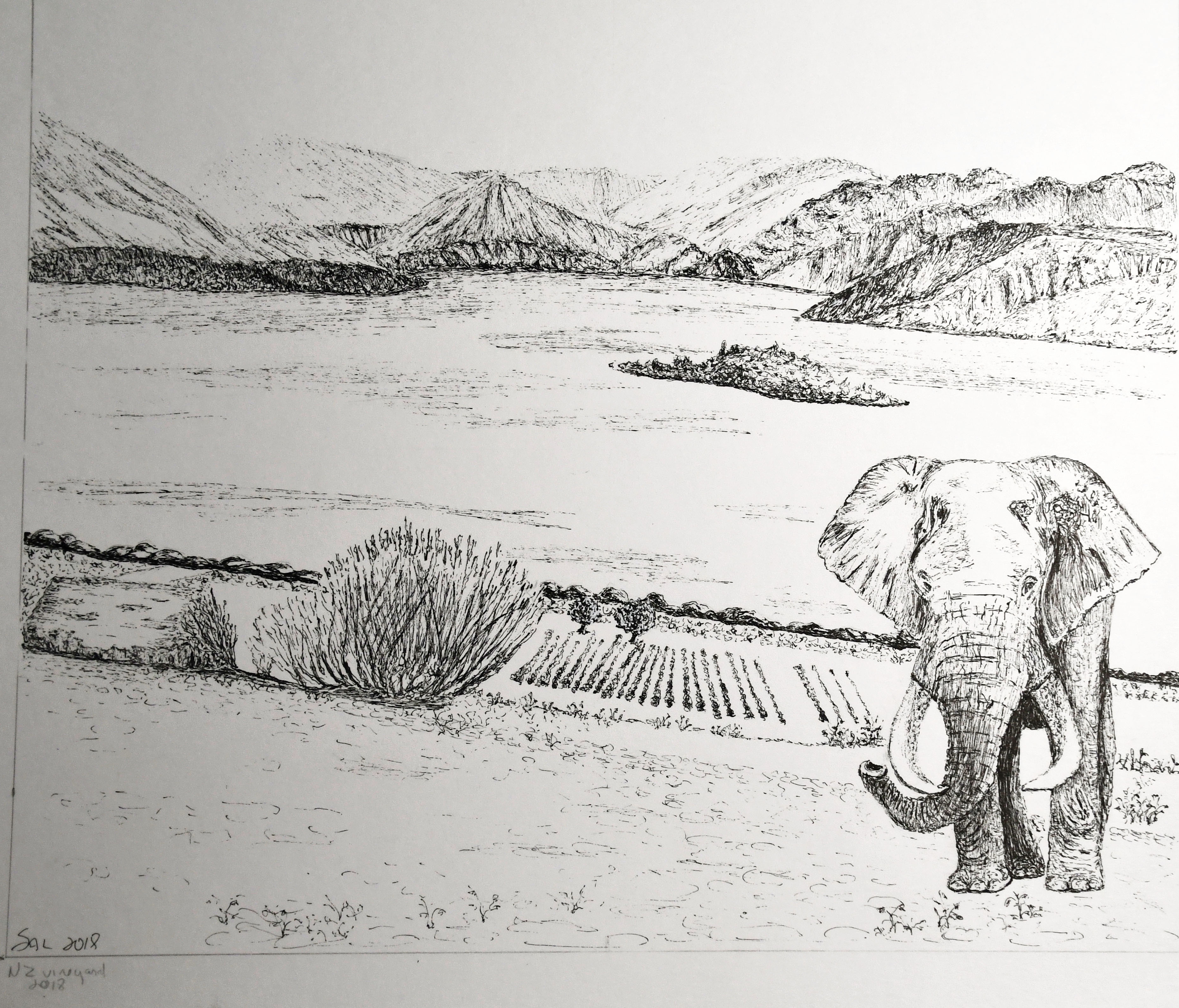 Pen and Ink Drawings – Welcome!